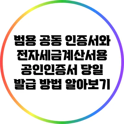범용 공동 인증서와 전자세금계산서용 공인인증서 당일 발급 방법 알아보기