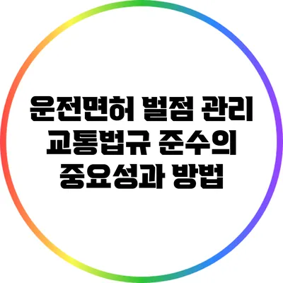 운전면허 벌점 관리: 교통법규 준수의 중요성과 방법