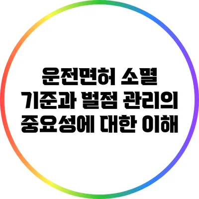 운전면허 소멸 기준과 벌점 관리의 중요성에 대한 이해