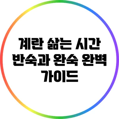 계란 삶는 시간: 반숙과 완숙 완벽 가이드