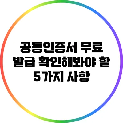 공동인증서 무료 발급: 확인해봐야 할 5가지 사항