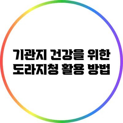 기관지 건강을 위한 도라지청 활용 방법