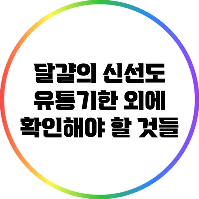 달걀의 신선도: 유통기한 외에 확인해야 할 것들