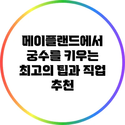 메이플랜드에서 궁수를 키우는 최고의 팁과 직업 추천