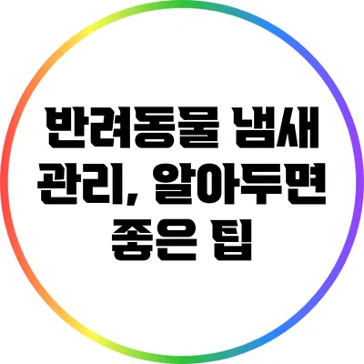 반려동물 냄새 관리, 알아두면 좋은 팁