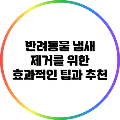 반려동물 냄새 제거를 위한 효과적인 팁과 추천