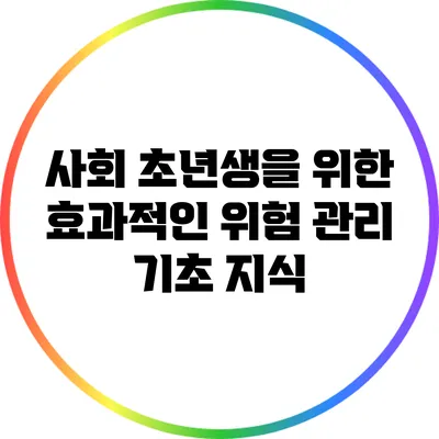 사회 초년생을 위한 효과적인 위험 관리 기초 지식