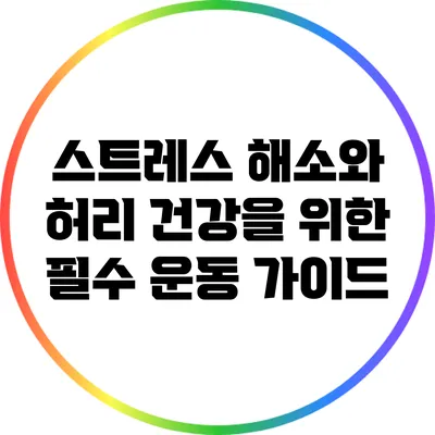 스트레스 해소와 허리 건강을 위한 필수 운동 가이드