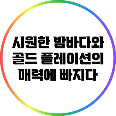 시원한 밤바다와 골드 플레이션의 매력에 빠지다