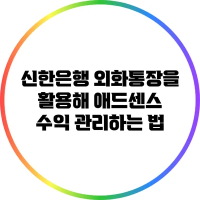 신한은행 외화통장을 활용해 애드센스 수익 관리하는 법