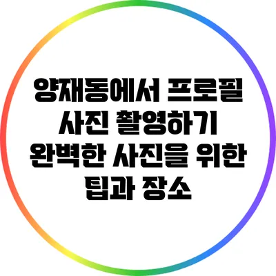 양재동에서 프로필 사진 촬영하기: 완벽한 사진을 위한 팁과 장소