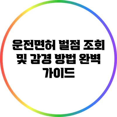 운전면허 벌점 조회 및 감경 방법 완벽 가이드
