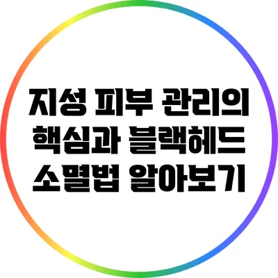 지성 피부 관리의 핵심과 블랙헤드 소멸법 알아보기