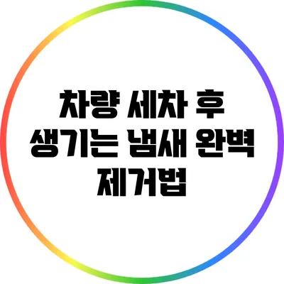 차량 세차 후 생기는 냄새 완벽 제거법