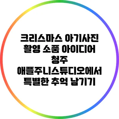 크리스마스 아기사진 촬영 소품 아이디어: 청주 애플주니스튜디오에서 특별한 추억 남기기