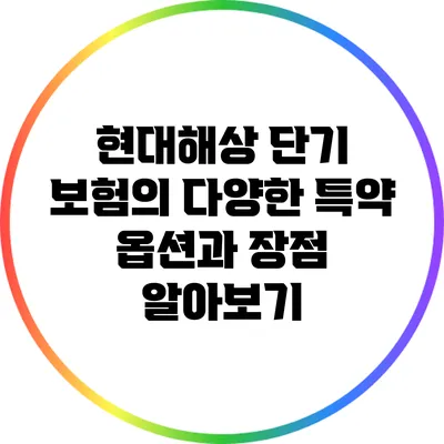 현대해상 단기 보험의 다양한 특약 옵션과 장점 알아보기