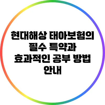 현대해상 태아보험의 필수 특약과 효과적인 공부 방법 안내