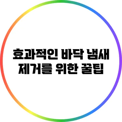 효과적인 바닥 냄새 제거를 위한 꿀팁