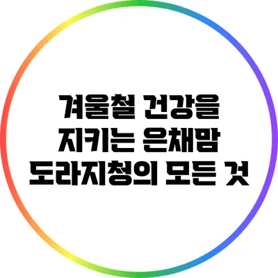 겨울철 건강을 지키는 은채맘 도라지청의 모든 것