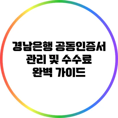 경남은행 공동인증서 관리 및 수수료 완벽 가이드