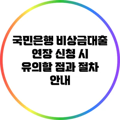 국민은행 비상금대출 연장 신청 시 유의할 점과 절차 안내