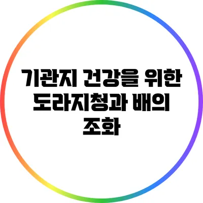 기관지 건강을 위한 도라지청과 배의 조화