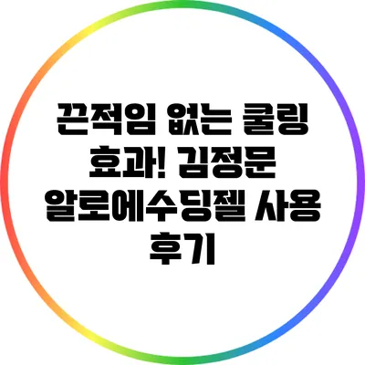 끈적임 없는 쿨링 효과! 김정문 알로에수딩젤 사용 후기
