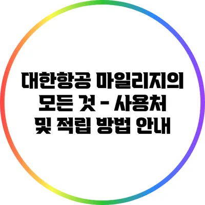 대한항공 마일리지의 모든 것 - 사용처 및 적립 방법 안내
