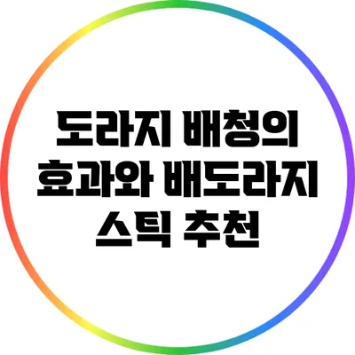 도라지 배청의 효과와 배도라지 스틱 추천