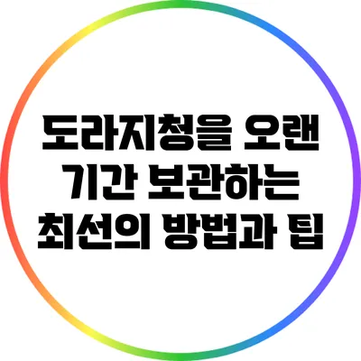 도라지청을 오랜 기간 보관하는 최선의 방법과 팁