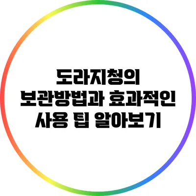 도라지청의 보관방법과 효과적인 사용 팁 알아보기