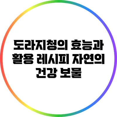 도라지청의 효능과 활용 레시피: 자연의 건강 보물