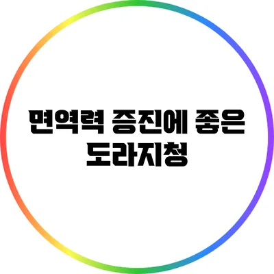 면역력 증진에 좋은 도라지청