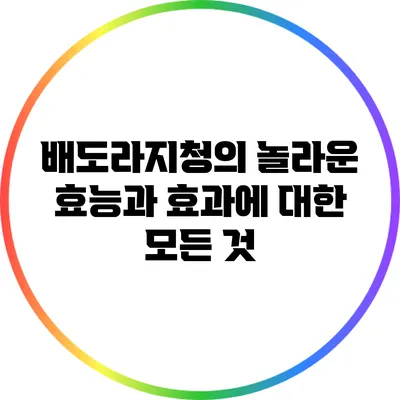 배도라지청의 놀라운 효능과 효과에 대한 모든 것