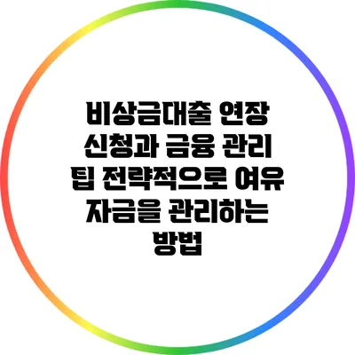 비상금대출 연장 신청과 금융 관리 팁: 전략적으로 여유 자금을 관리하는 방법