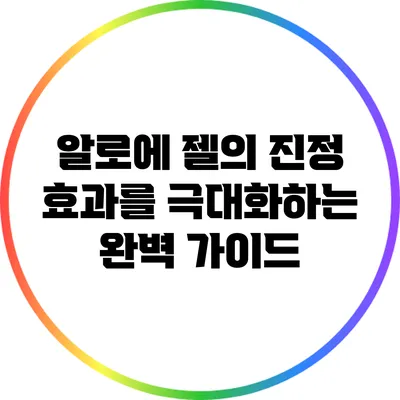 알로에 젤의 진정 효과를 극대화하는 완벽 가이드