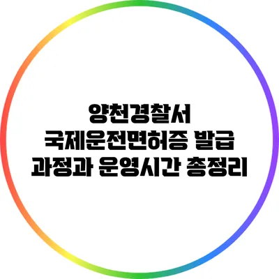 양천경찰서 국제운전면허증 발급 과정과 운영시간 총정리