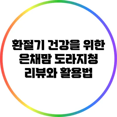 환절기 건강을 위한 은채맘 도라지청 리뷰와 활용법