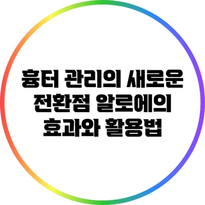 흉터 관리의 새로운 전환점: 알로에의 효과와 활용법