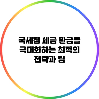 국세청 세금 환급을 극대화하는 최적의 전략과 팁