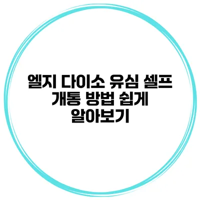 엘지 다이소 유심 셀프 개통 방법 쉽게 알아보기