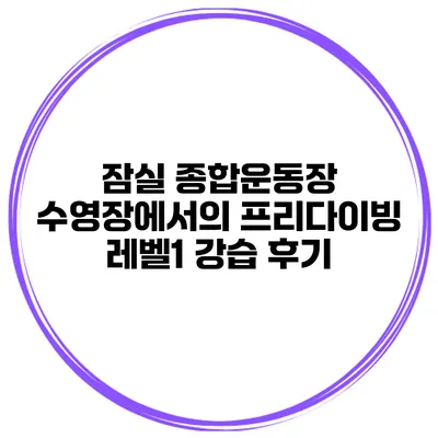 잠실 종합운동장 수영장에서의 프리다이빙 레벨1 강습 후기